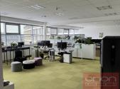 Pronájem - kanceláře, 303 m²
