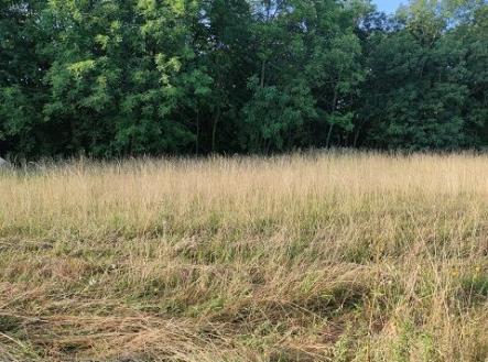 Prodej - pozemek pro bydlení, 616 m² obrázek