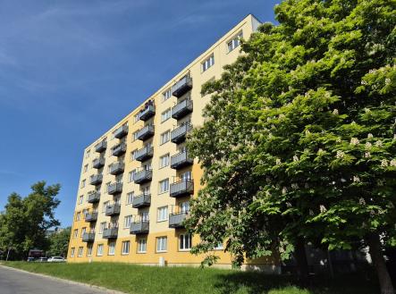Prodej bytu, 2+1, 54 m² obrázek