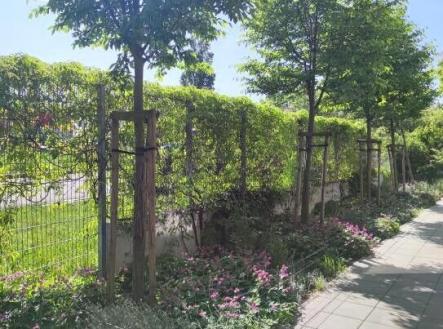 Pronájem bytu, 2+kk, 58 m²