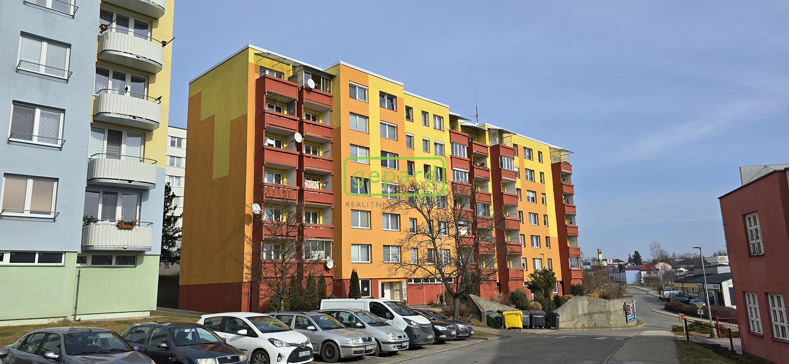 20250211-120004.jpg