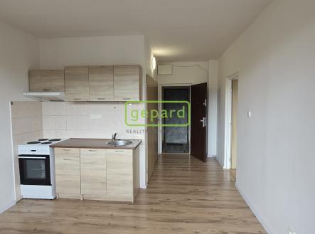 Pronájem bytu, 1+1, 37 m² obrázek