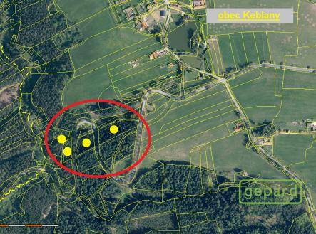 2-1.png | Prodej - pozemek, les, 8 599 m²