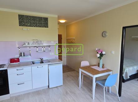 20250506-122257.jpg | Prodej bytu, 1+1, 36 m²