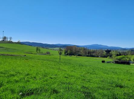 20250427-160031.jpg | Prodej - pozemek, trvalý travní porost, 3 266 m²