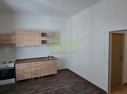 20250502-115608.jpg | Pronájem bytu, 2+1, 46 m²