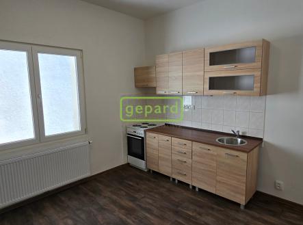 20250502-115551.jpg | Pronájem bytu, 2+1, 46 m²