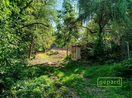 chata-jivno-2.jpg | Prodej - pozemek, ostatní, 745 m²