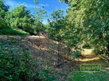 chata-jivno-4.jpg | Prodej - pozemek, ostatní, 745 m²