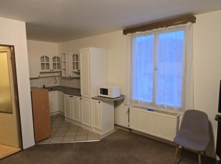 20251202-075247.jpg | Pronájem bytu, 1+kk, 45 m²
