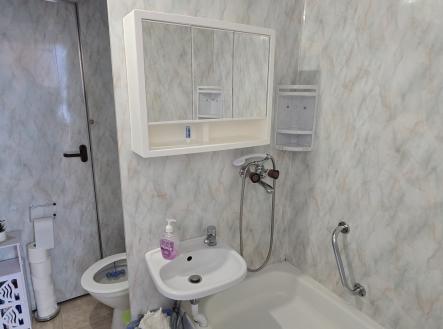 20251213-112400.jpg | Pronájem bytu, 1+1, 40 m²