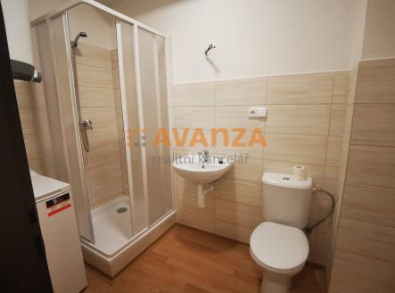 Obrázek k zakázce č.: 674696 | Pronájem bytu, 1+kk, 32 m²