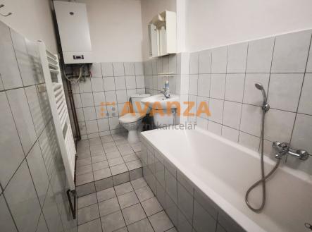 Obrázek k zakázce č.: 723561 | Pronájem bytu, 2+kk, 45 m²
