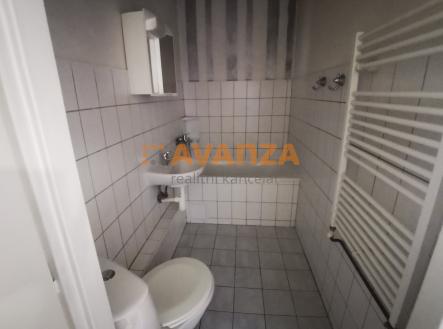 Obrázek k zakázce č.: 723571 | Pronájem bytu, 1+1, 45 m²