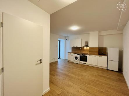 407137915_24604142685866731_7346495387632733975_n | Pronájem bytu, 1+kk, 27 m²