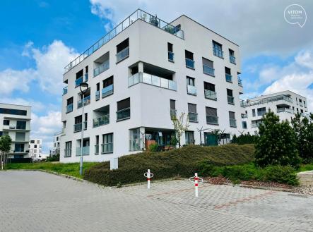 342343482_177986444804954_9217072151730784455_n | Pronájem bytu, 2+kk, 53 m²