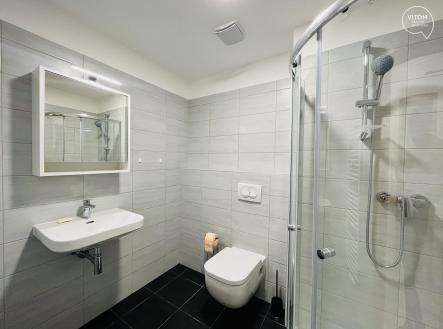 368506672_1282068033191539_6989207880867721355_n | Pronájem bytu, 1+kk, 35 m²