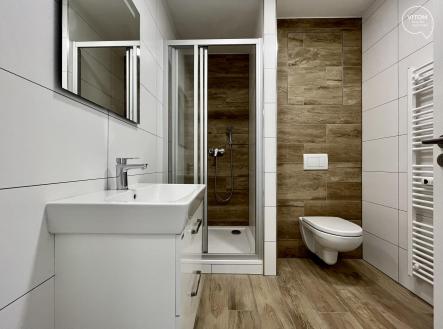 452043957_1036405091430226_352853515429737193_n | Pronájem bytu, 2+kk, 43 m²