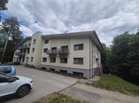 20250510_134426 | Pronájem bytu, 1+kk, 20 m²
