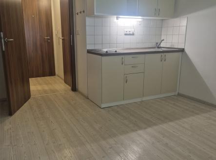 20250510_133803 | Pronájem bytu, 1+kk, 20 m²