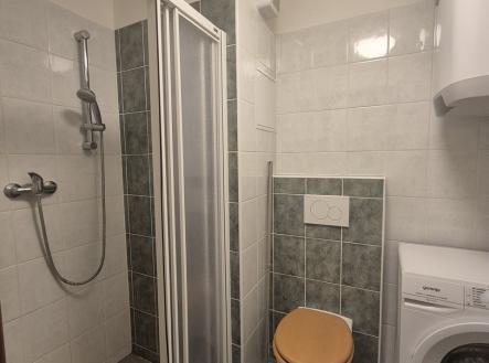 20250510_133615 | Pronájem bytu, 1+kk, 20 m²
