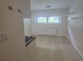 Pronájem bytu, 1+kk, 20 m²