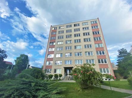 IMG_3534 | Pronájem bytu, 2+kk, 32 m²
