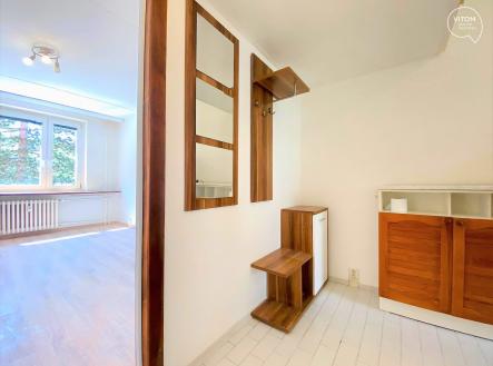 221690065_1500347847012303_2025451856569333032_n | Pronájem bytu, 1+1, 36 m²
