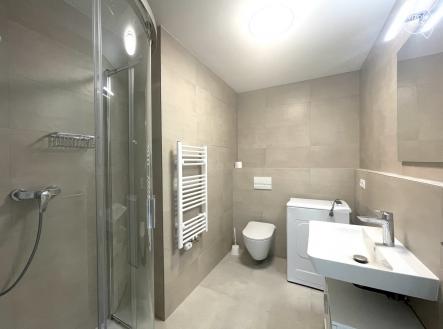 IMG_0936 | Pronájem bytu, 2+kk, 43 m²