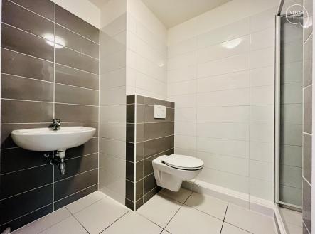 454379091_1244440159897099_2242672705403360629_n | Pronájem bytu, 1+kk, 41 m²