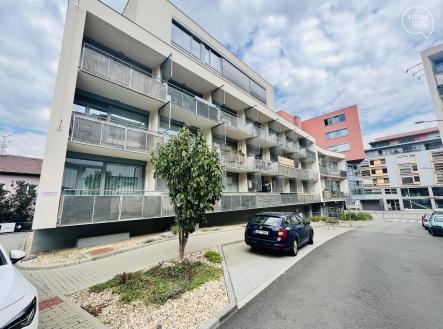 453757099_1046452030816105_5355113631542288191_n | Pronájem bytu, 1+kk, 41 m²