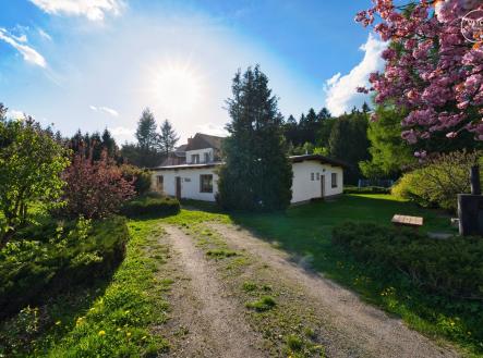 Jedlina_leto-40 | Prodej - hotel, 575 m²