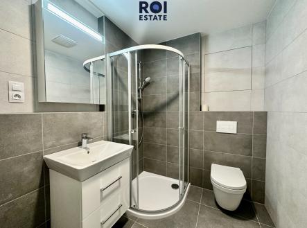 IMG_3338 | Pronájem bytu, 1+kk, 33 m²