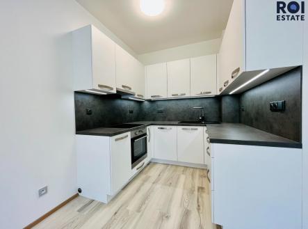 350059264_1888225551564556_2150612709629776759_n | Pronájem bytu, 1+kk, 37 m²