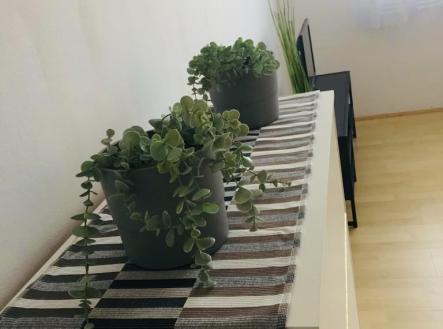 b853e445-1485-4d41-807f-b41ef351dacc | Pronájem bytu, 1+1, 32 m²