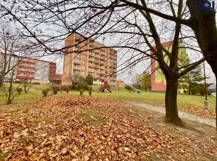 IMG_0840 | Pronájem bytu, 2+1, 55 m²