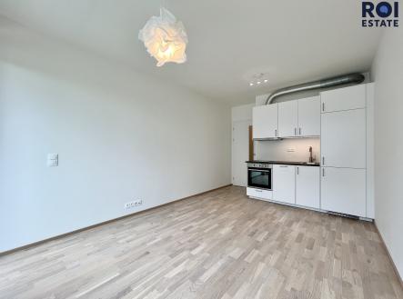 IMG_7088 | Pronájem bytu, 1+kk, 24 m²