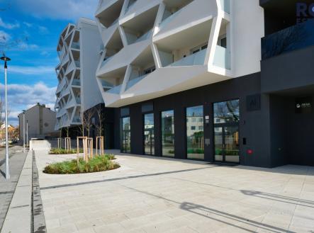 Komarovska-46 | Pronájem bytu, 3+kk, 77 m²