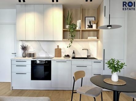 IMG_7930 | Pronájem bytu, 1+kk, 47 m²