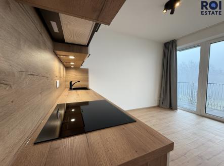 IMG_2821 | Pronájem bytu, 1+kk, 26 m²