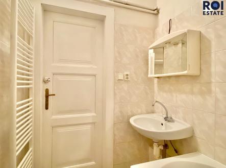 09681499-B779-4F09-A20F-8D9CFAC10D72 | Pronájem bytu, 2+kk, 55 m²