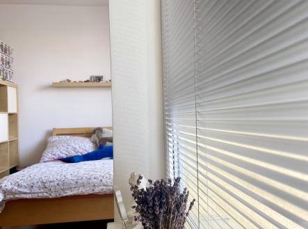 IMG_3889 | Pronájem bytu, 1+kk, 45 m²