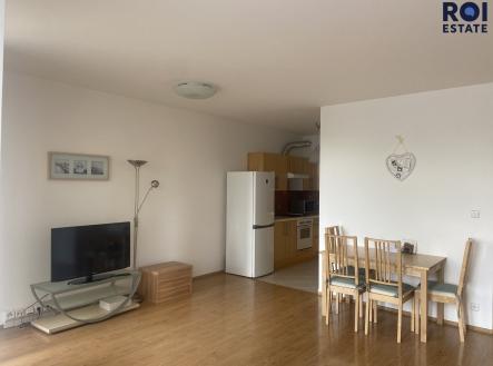 IMG_4621 | Pronájem bytu, 1+kk, 45 m²