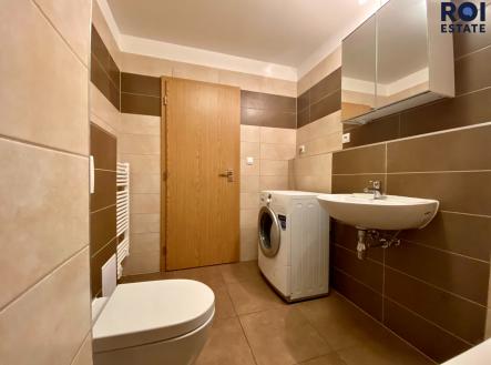 7867612A-B376-4320-ACED-F93D256CAA40 | Pronájem bytu, 1+kk, 38 m²