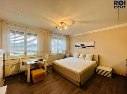 337905188_737809071180312_8792683927758590471_n | Pronájem bytu, 1+kk, 32 m²