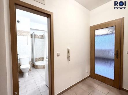 446c7bde-517d-4ffa-bf57-b44bfbcb168c | Pronájem bytu, 1+kk, 33 m²