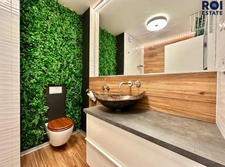 IMG_0741 | Pronájem bytu, 1+kk, 40 m²