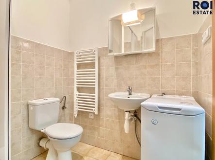 7B1020AE-4ABC-4AB7-AAD8-B9CC519CD53C | Pronájem bytu, 1+kk, 32 m²