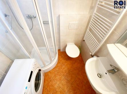 aIMG_3052 | Pronájem bytu, 2+1, 39 m²