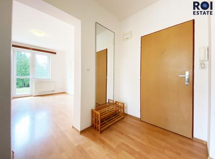 aIMG_3098 | Pronájem bytu, 2+1, 39 m²